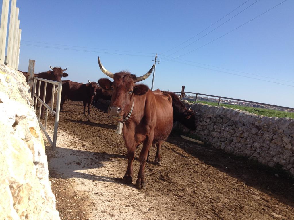 Casa Vacanze Agriturismo Cilone Affittacamere Ragusa Esterno foto