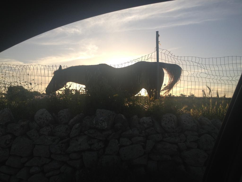 Casa Vacanze Agriturismo Cilone Affittacamere Ragusa Esterno foto